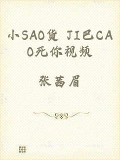 小SAO货 JI巴CAO死你视频
